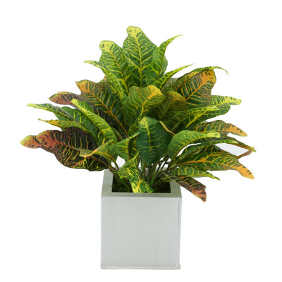 18'' Faux Croton Plant in Metal Pot