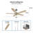Alceo 52'' Ceiling Fan with LED Lights-78832844