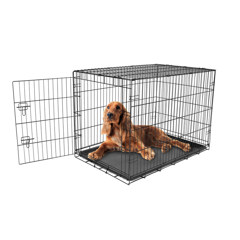 Cage en métal pour animaux Carlson, Intermédiaire