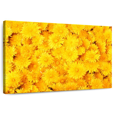 Harnek Hued Dandelions