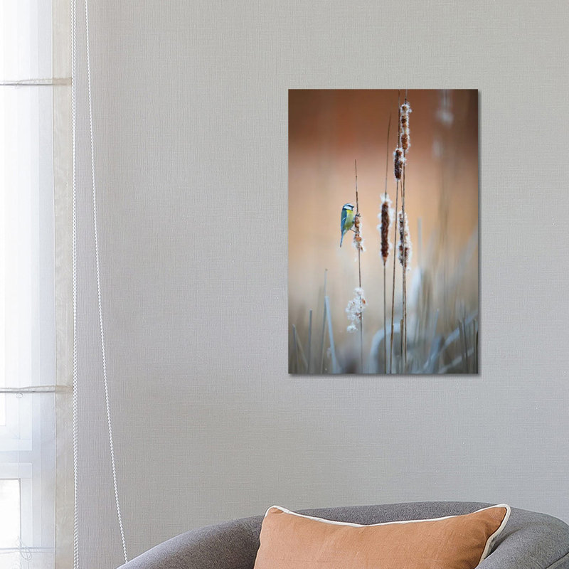 Blue Tit II by Mateusz Piesiak - Floater Frame Gallery-Wrapped Canvas Giclée on Canvas, 66.04 cm H x 45.72 cm W x 1.91 cm D