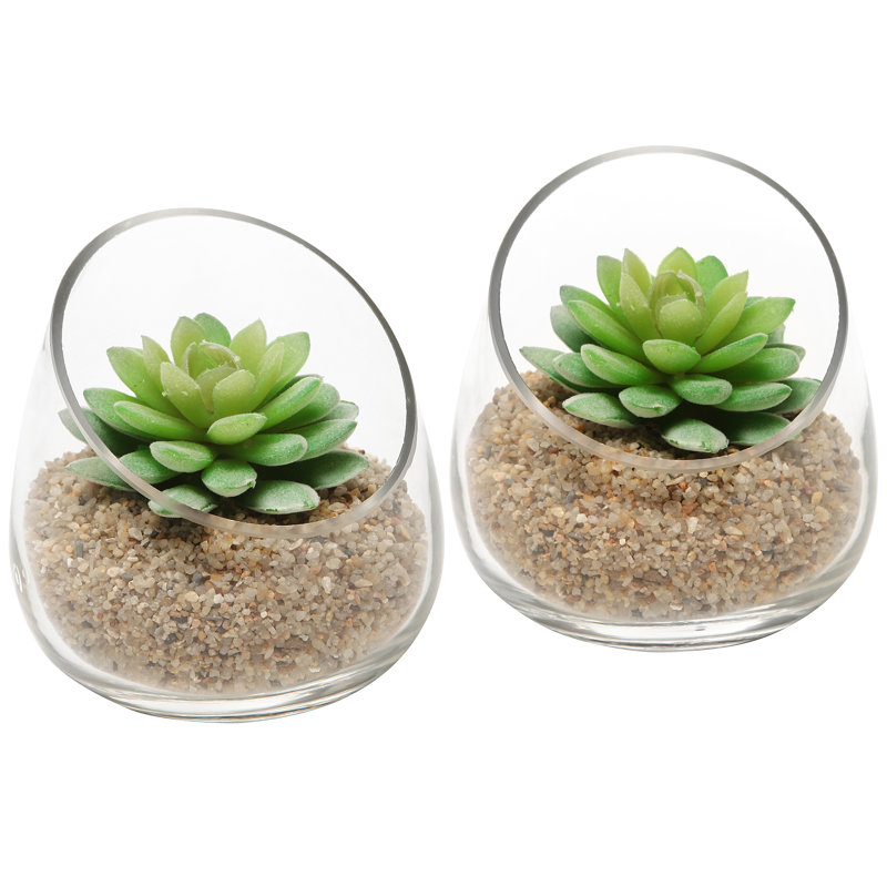 Glass Terrarium
