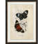 Crackled Jardine Butterfly IV Print