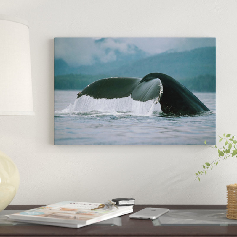« baleine baleine tail, alaska », reproduction de photo sur toile, H 18 po x l 26 po x P 1,5 po, Toile tendue, Pas de tapis