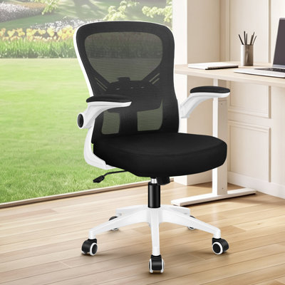 Brayden Studio Mesh and Foam Padding Office Chair