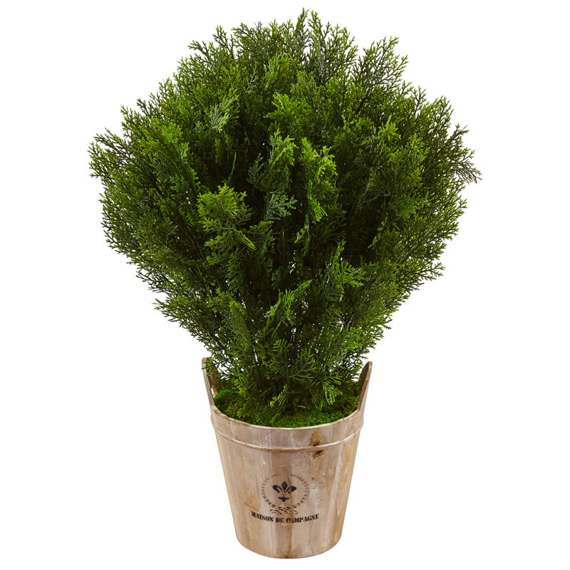 Plante cèdre artificielle 25,5" en pot à fleurs