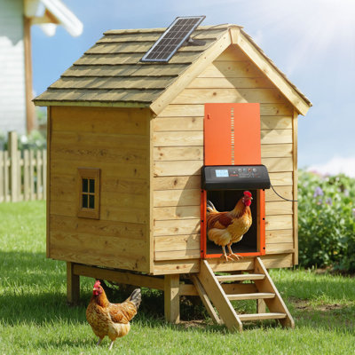 Porte de poulailler automatique, porte de poulet à énergie solaire et à piles avec écran LCD, télécommande, capteur de lumière et minuterie, sécurité anti-pincement, ouvre-porte en aluminium Chick Run, orange