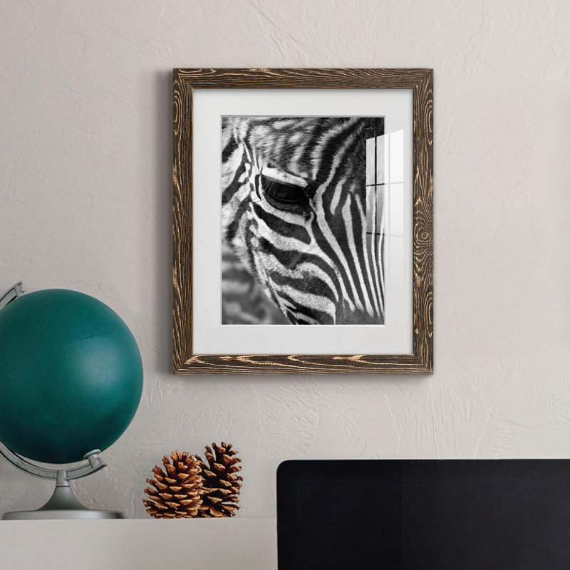 Zebra Colt - Photographie avec cadre photo, Encadré de bois de noyer, H 20 po x l 17 po x P 1,5 po