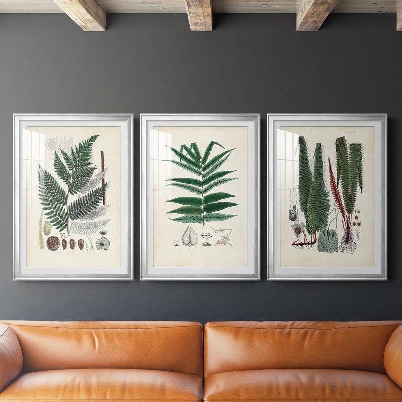 «Ferns IV», reproduction encadrée de qualité supérieure - prête à être accrochée, Cadre argenté, H 30,5 po x l 45 po