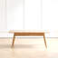 Centre de table Table basse 100% plateau en bois massif avec plateau et plateau de table basse Largeur 120 x profondeur 56 x hauteur 45 cm Bureau d'étude Facile à assembler Bois naturel avec tablette de rangement-1152083614