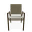 Bazza Outdoor Dining Chair-529171482-529171553