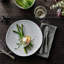 Teck 11" White Dinner Plates