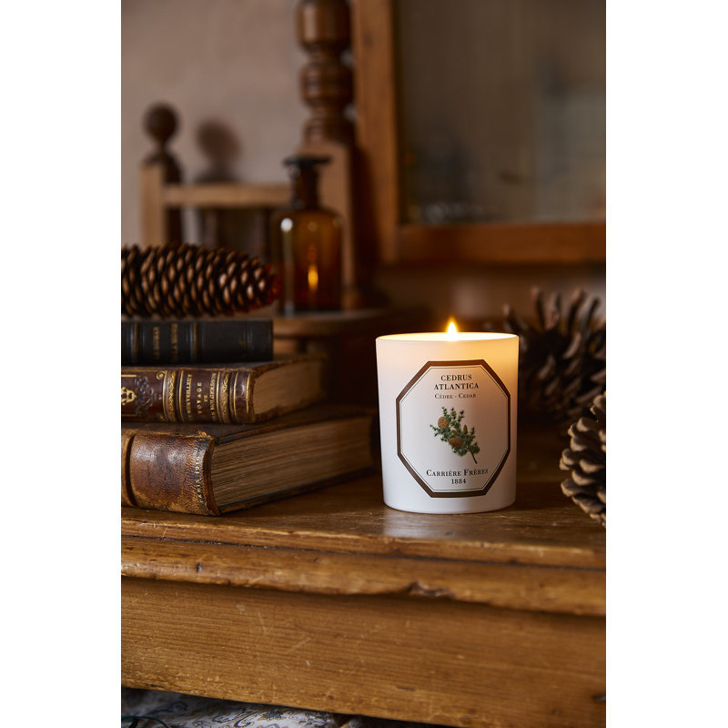Cedar Candle