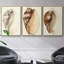Splendid Shells I, ensemble de 3 toiles encadrées sur toile-97946291-97946298