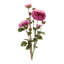 Ensemble de fleurs Zinnia (ensemble de 2)-982676395