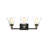 3 - Light Vanity Light