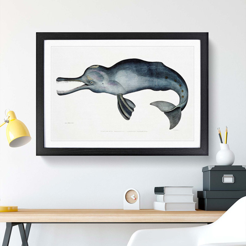River Dolphin by John Edward Gray - Picture Frame Painting Print, 36cm H x 48cm W x 2cm D, Black Framed
