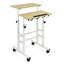 Adjustable Standing Desk-1717250333