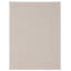 Hastin - Fossil-68858043