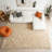 Soft Beige Plush Shag Rug, Warm Cozy Carpet for Living Room, Nursery and Dorm Room-1238755584