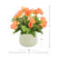 Arrangement floral bégonia-813824251-919626804