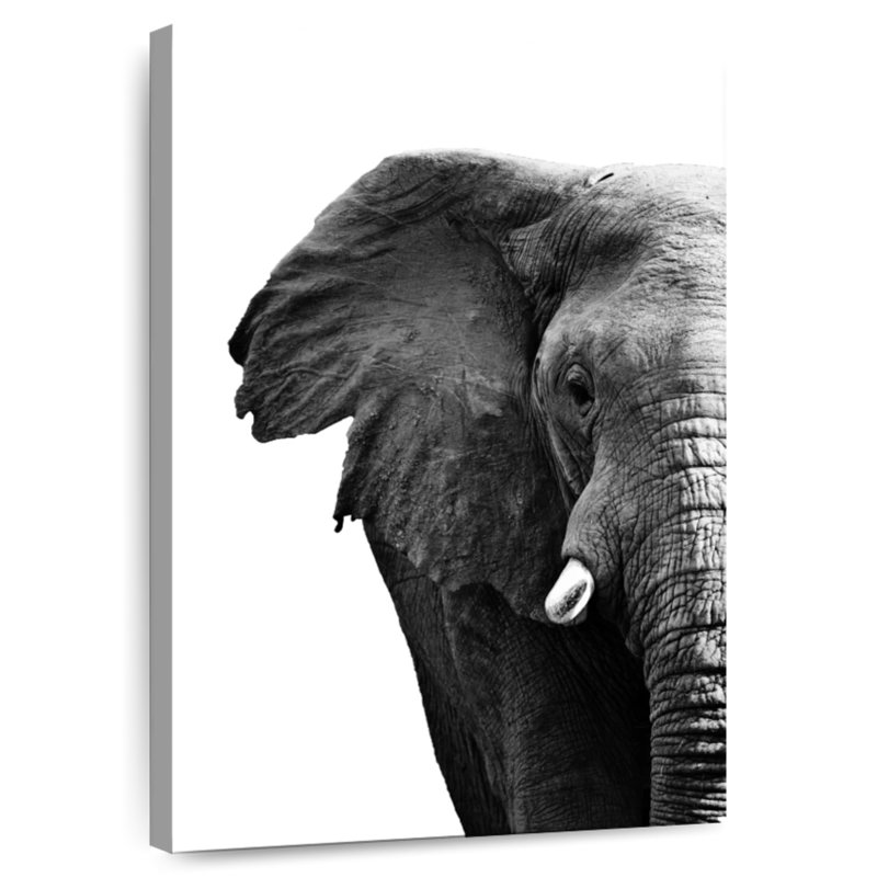 Éléphant d'Afrique ridé Brampt, H 24 po x l 16 po