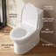 Toilette une pièce pour la salle de bain, toilette moderne à double chasse 1,1 / 1,6 GPpf (avec siège à fermeture en douceur)-125525564