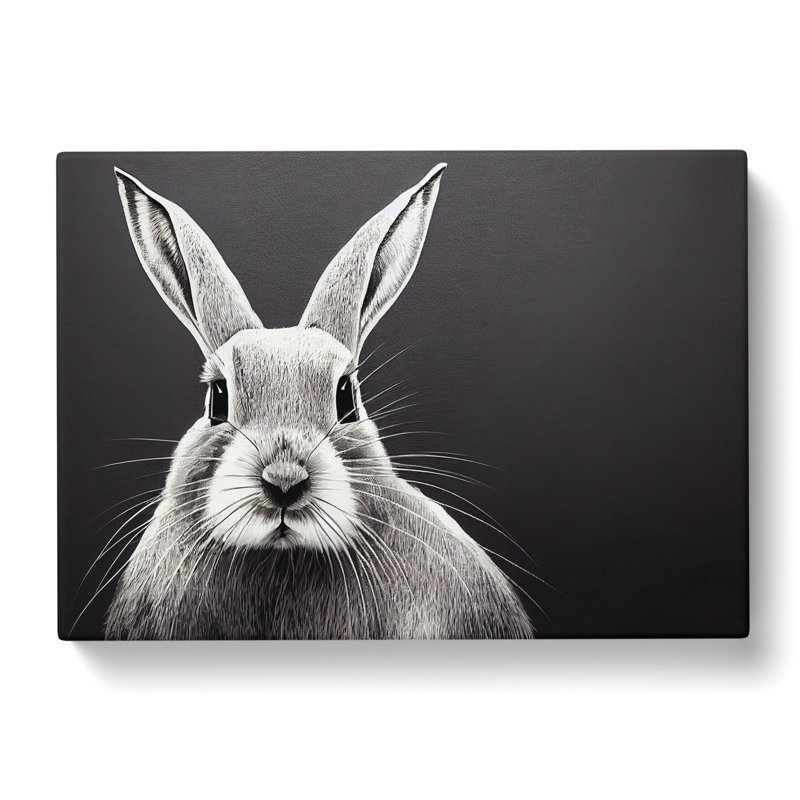Face Of A Rabbit - Wrapped Canvas, 35cm H x 50cm W x 3cm D