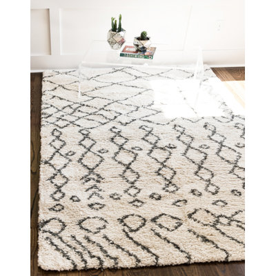 Southwestern Shag Area Rug