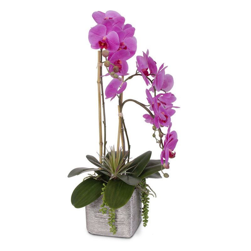 Real Touch Succulent Beauty Orchid and Succulent Floral Arrangement in Pot
