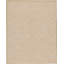 Ikat Area Rug in Beige