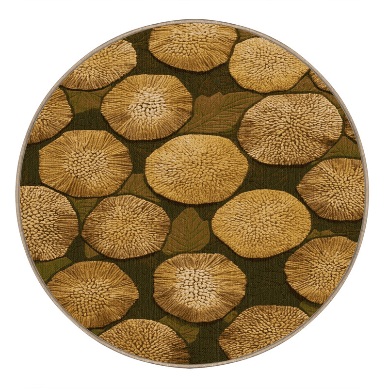  Tapis lavable à fruits à pain, Rond 5 pi
