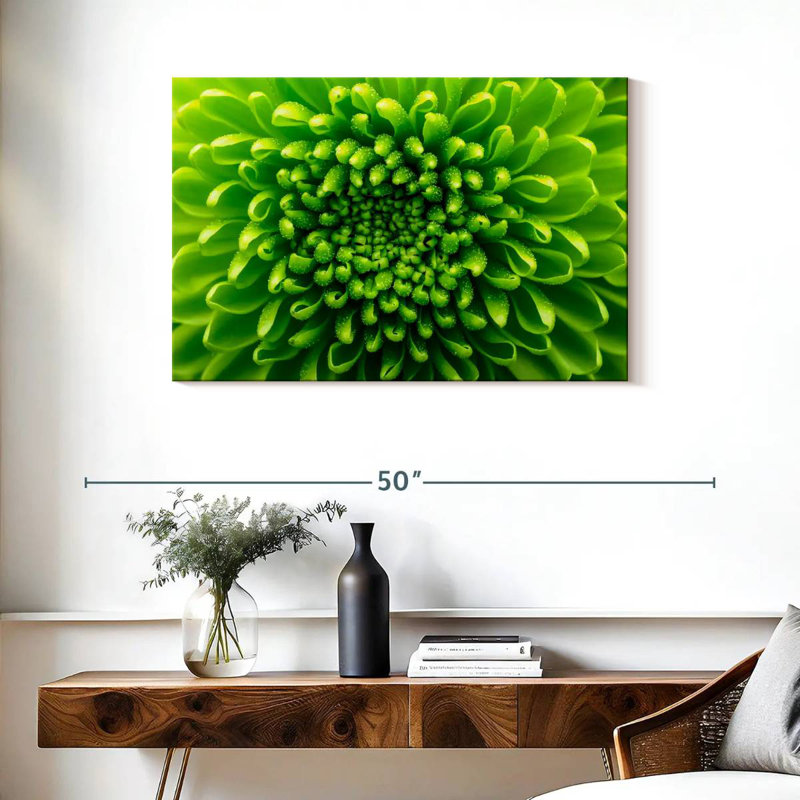 Chrysanthème vert, H 24 po x l 36 po