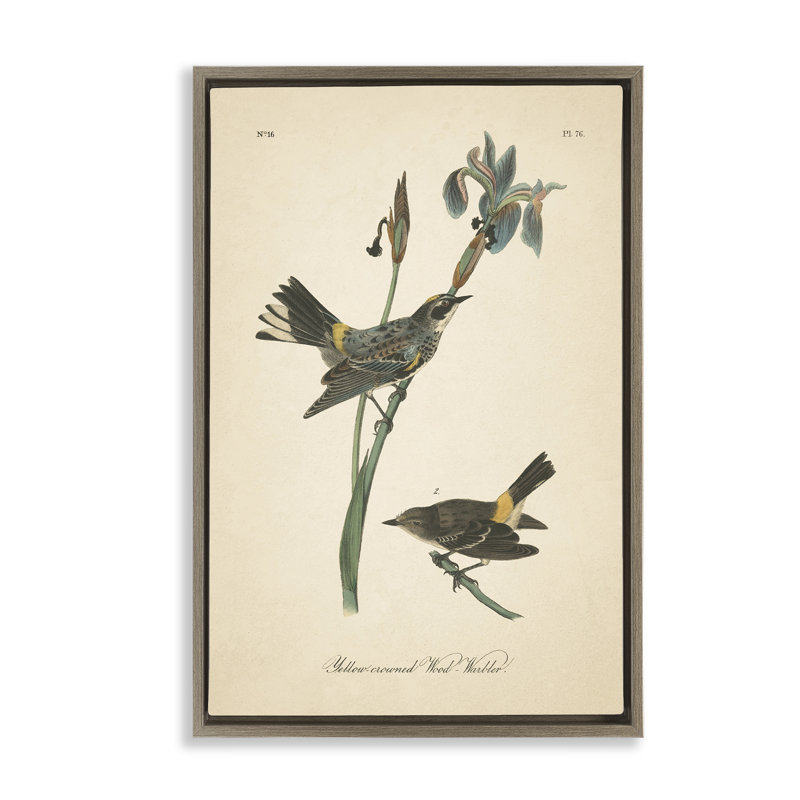Toile flottante rétro encadrée par Wild Apple, Cadre flottant orme Montalcino, H 25 po x l 17 po