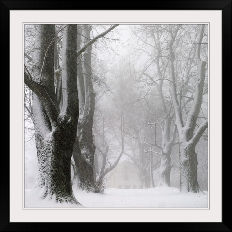 «Straub 'White Avenue» par Franz Bogner, reproduction de photo, H 20" x l 20" x P 1", Cadre noir