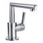 Arris Single Hole Bathroom Faucet with Drain Assembly-17419949