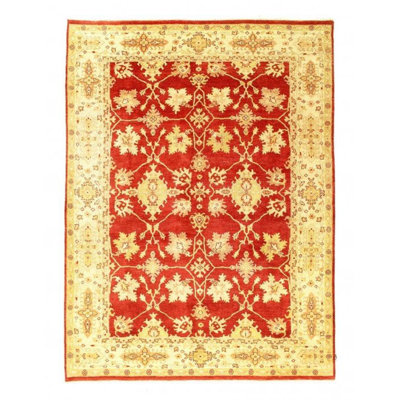 Oriental Area Rug