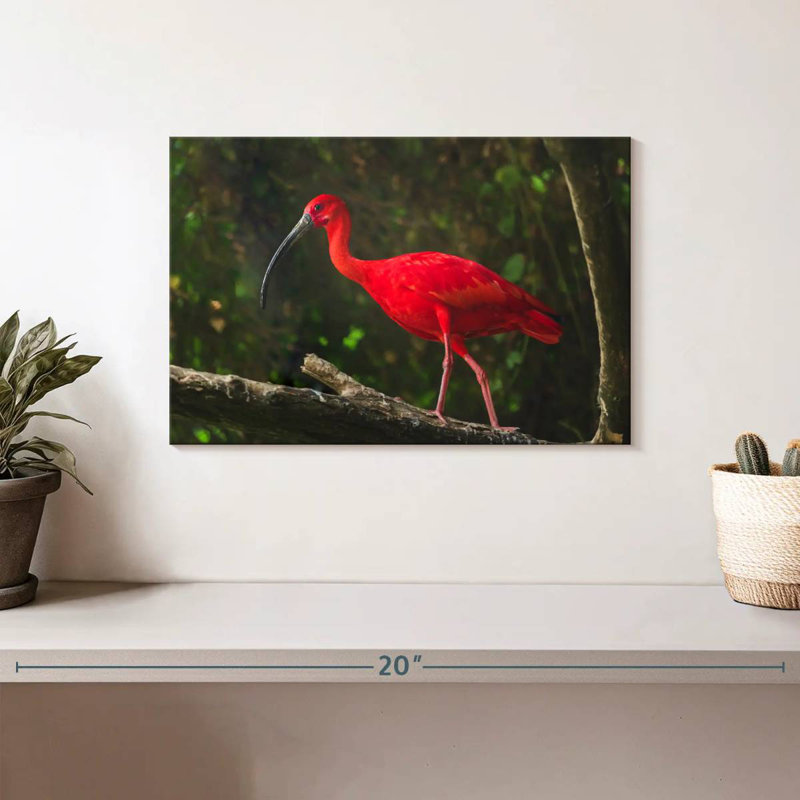 Oiseau rouge Brampt, H 8 po x l 12 po