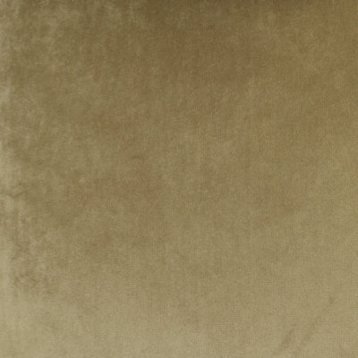 Tissu Belvedere