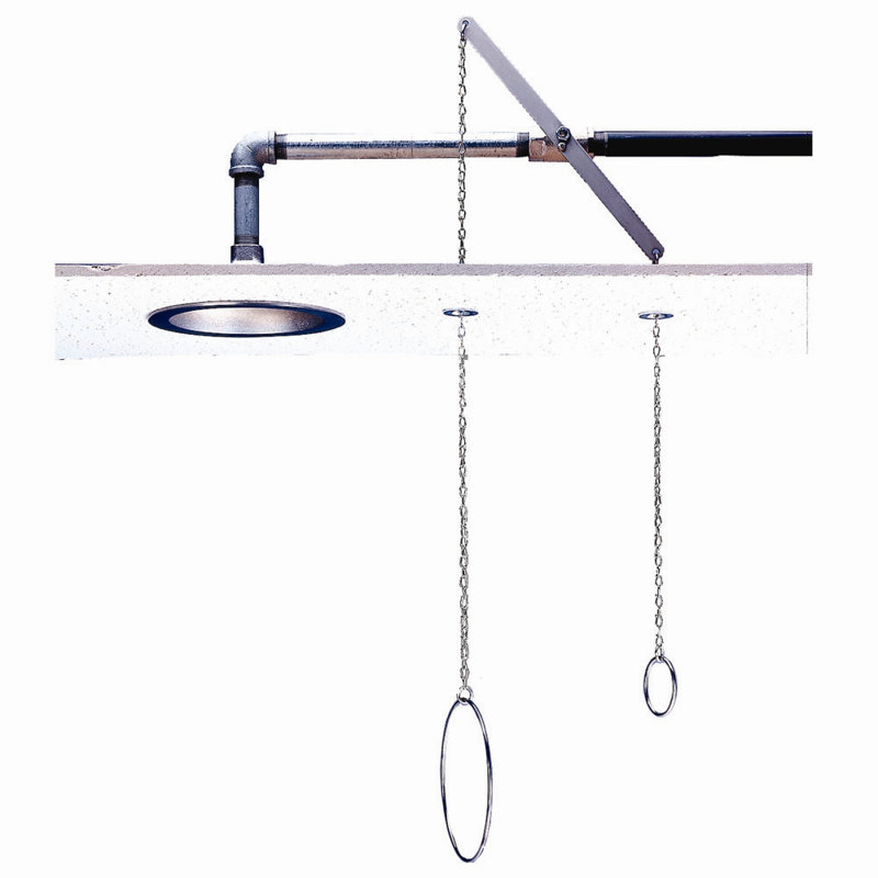 Douche d’urgence Lifesaver