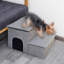 Escalier pour chien avec fenêtre