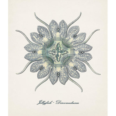 Nautical Art I Print by Sofia Fox