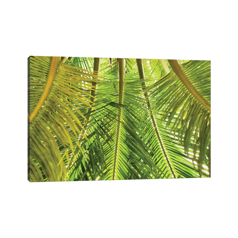 Green Palm Fronds 1 Piece Wall Art on Canvas, 20.32cm H x 30.48cm W x 1.91cm D, Wrapped Canvas