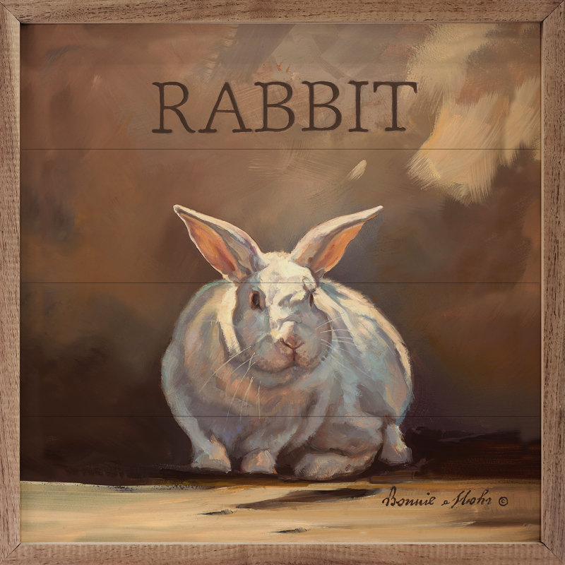 Ruby le lapin par Bonnie Mohr, H 16 po x l 16 po x P 1 po