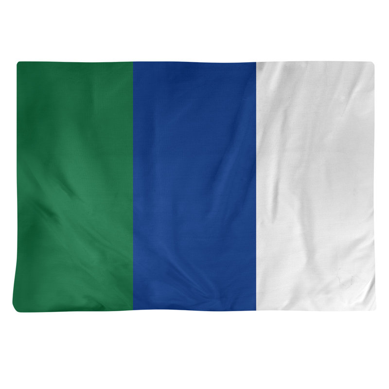Récapitulatif en coton 18" retour football Seattle, Blanc / bleu / vert