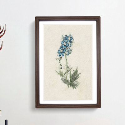 Illustration of Blue Wildflowers - Picture Frame Painting Print