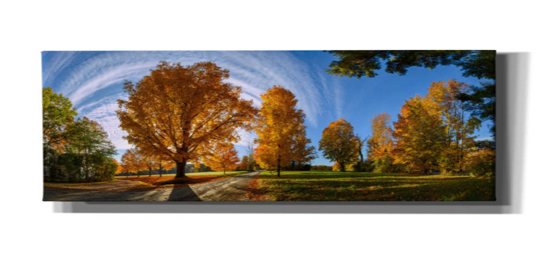 «At Countryside» par Lena Owens, art mural sur toile, H 20 po x l 60 po
