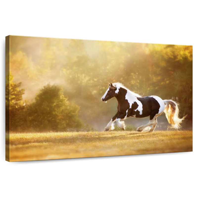 Cheval doré Brampt II, H 16 po x l 24 po