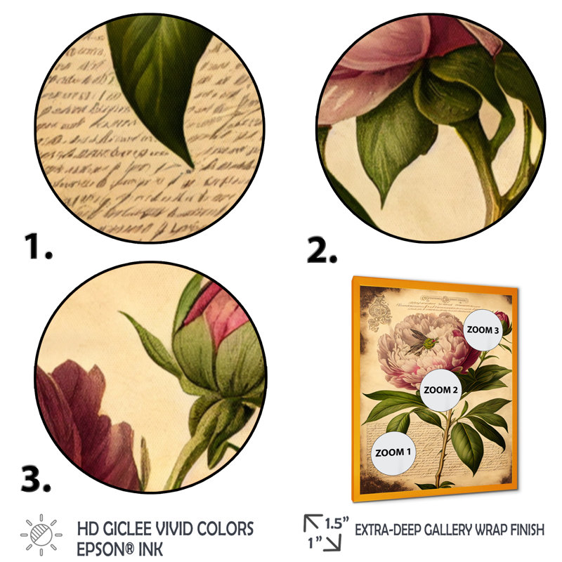 Pivoine rétro rose et blanche - reproduction sur toile, L 30 po x H 40 po, Cadre photo doré