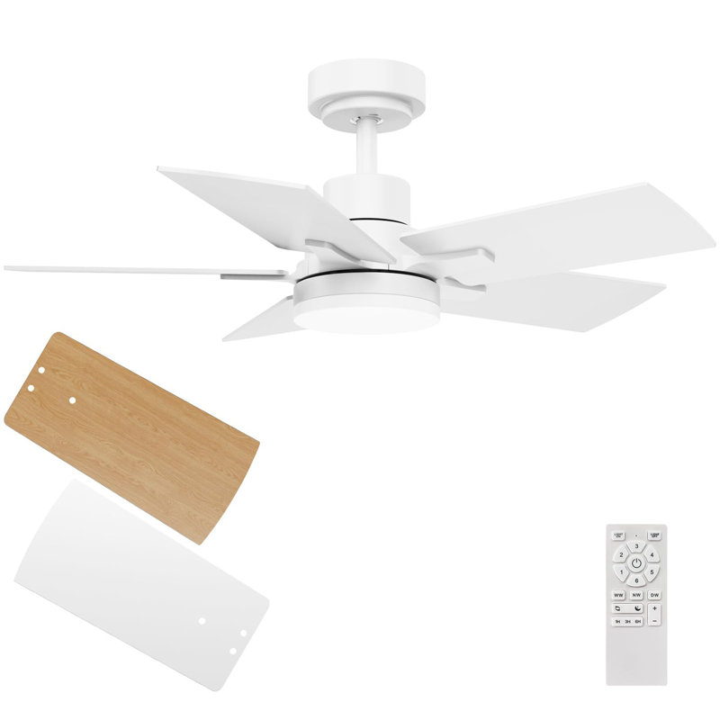 Ceiling Fans with Lights and Remote, 32" Wide, White